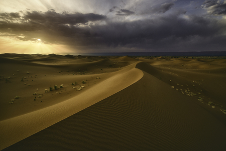 Sahara`s dunes at sunset, Morocco, North Africaの写真素材