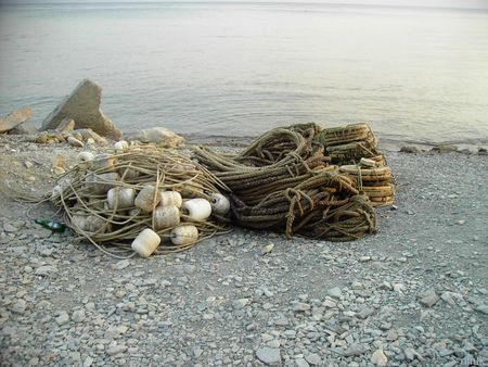 fishings cordages ashore exterminating