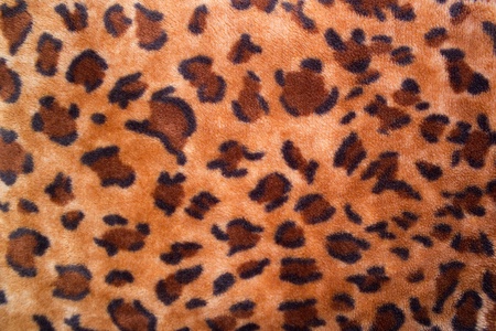 Texture of a leopard colouring