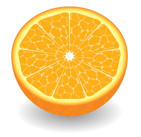 The cut orange on a white backgroundの写真素材