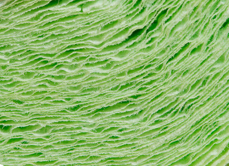 Texture of toilet paper in close-upの写真素材