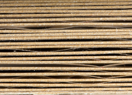 Texture of old book pages in the macro scale