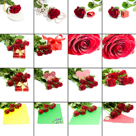 A large collection of holiday photos with red roseの写真素材