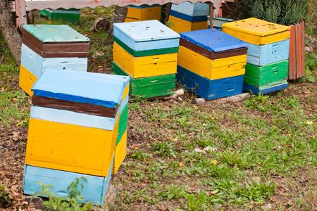 Hives in an apiary. Apiculture
