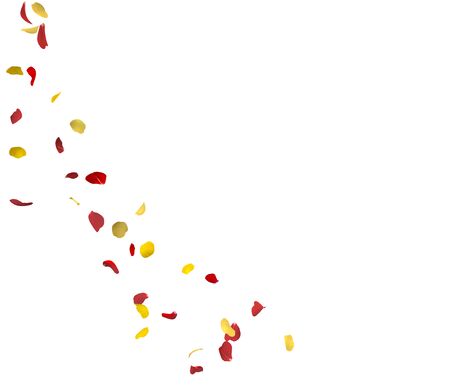 Yellow and red rose petals fly in the air. Isolated white backgroundの写真素材
