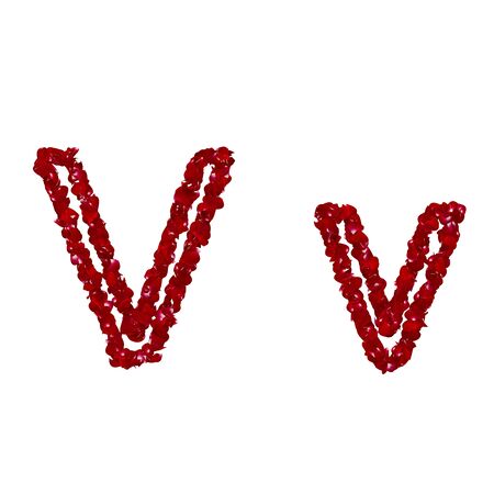 The letter "V" is made of red rose petals. Isolated white backgroundの写真素材