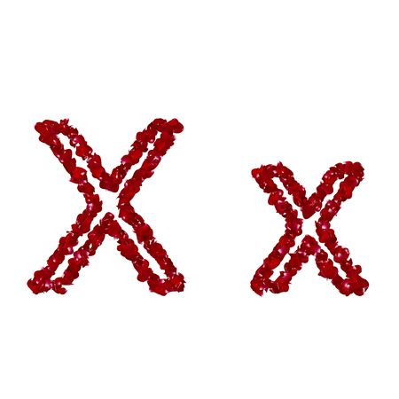 The letter "X" is made of red rose petals. Isolated white backgroundの写真素材