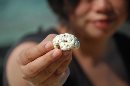 a corallite in hand