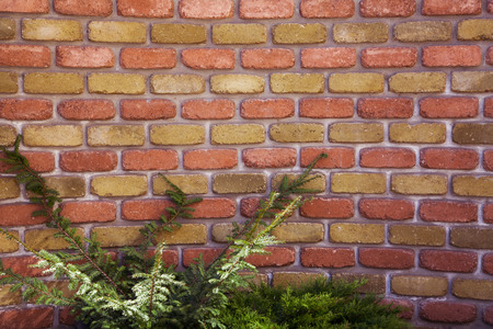 Wall made of bricksの写真素材