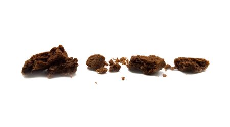 Biscuit with chocolate chip flavored. Some broken and crumbs of crunchy delicious sweet meal and...