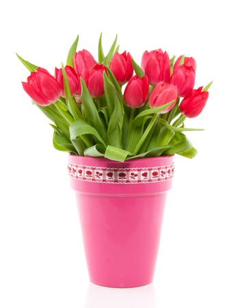 cheerful red bouquet  tulips in a wicker basket with ribbon isolated over whiteの写真素材