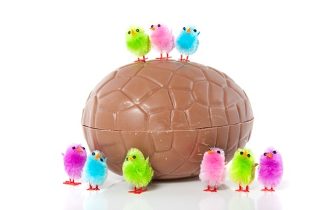 little colorful easter chicks above and in front of a big chocolate egg isolated over white