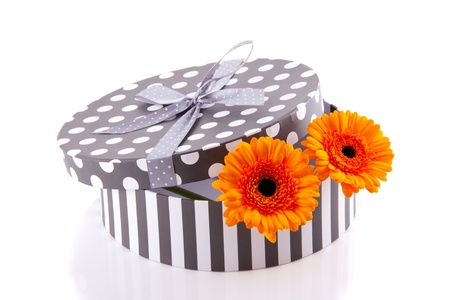 two orange gerber in a grey white giftbox isolated over white