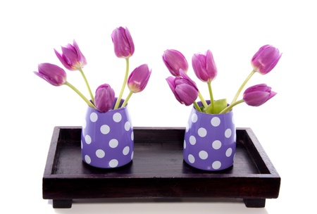 two little vases with purple tulips on a wooden tray isolated over whiteの写真素材