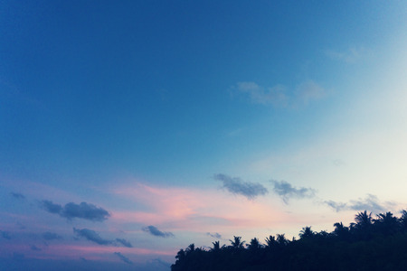 Palm trees silhouette against sunset sky