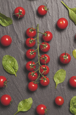 Red cherry vine tomatos and green salad leaves on a slate backgroundの写真素材