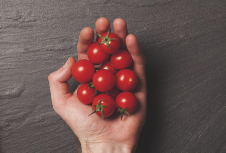 Male hand holding fresh red cherry tomatosの写真素材