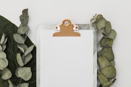 Clipboard with blank paper mockup with eucalyptus leaves, top viewの写真素材