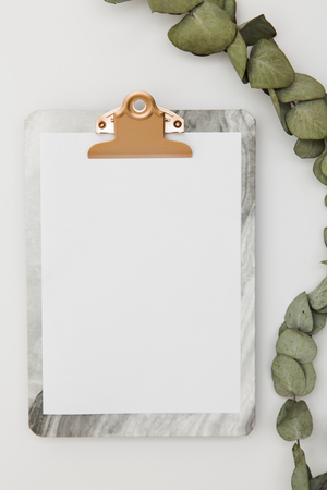 Clipboard with blank paper mockup with eucalyptus leaves, top viewの写真素材