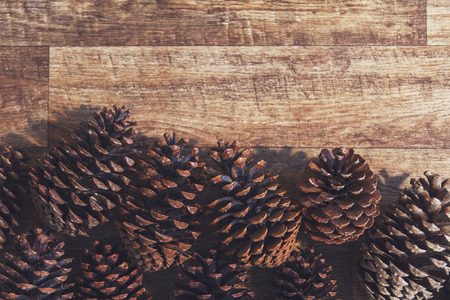 Collection of festive christmas pine cones