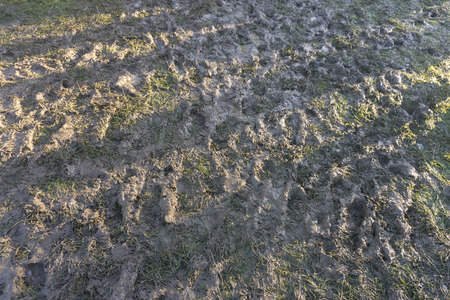 Footprints in think mud at a music festival
