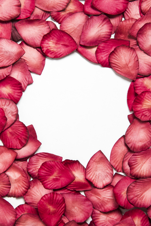 Red rose petals on a plain white background. Romantic valentines day backgroundの写真素材