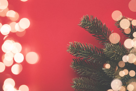 Christmas background with fir tree branches and bokeh blurred fairy lights