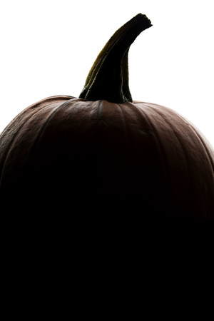 Halloween pumpkin silhouette on a plain white backgroundの写真素材