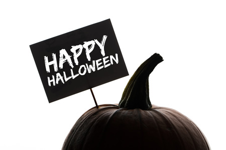 Halloween pumpkin silhouette on a plain white backgroundの写真素材