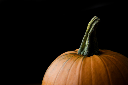 Autumn halloween pumpkin against a plain background