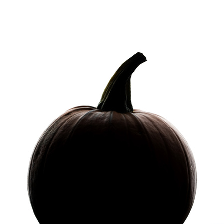 Halloween pumpkin silhouette on a plain white backgroundの写真素材