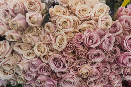 A collection or roses at a flower marketの写真素材