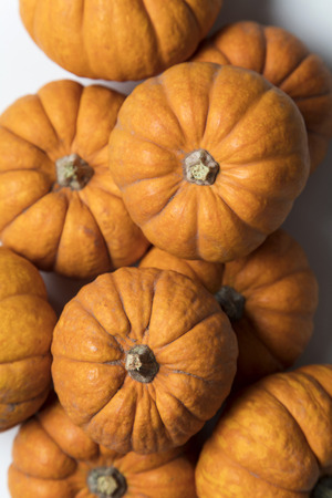 Mini munchkin pumpkin festive backgroundの写真素材