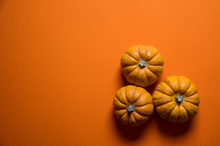 Small pumpkins on a bright orange backdrop. Halloween and thanksgiving backgroundの写真素材