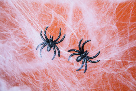 Halloween creepy cobweb spiders web with an orange background
