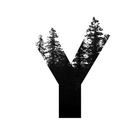 Letter Y hipster wilderness font lettering. Outdoor adventure.の写真素材