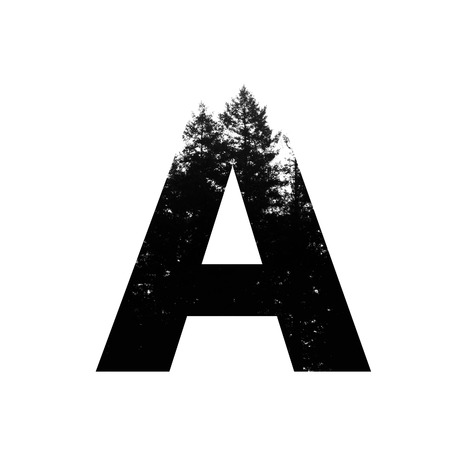 Letter A hipster wilderness font lettering. Outdoor adventure.の写真素材