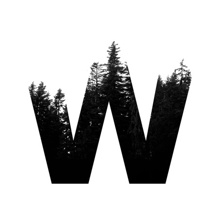 Letter W hipster wilderness font lettering. Outdoor adventure.の写真素材