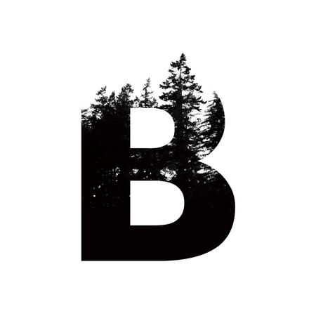 Letter B hipster wilderness font lettering. Outdoor adventure.の写真素材