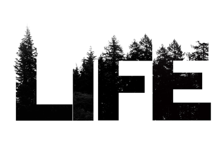 Life word made from outdoor wilderness treetop letteringの写真素材