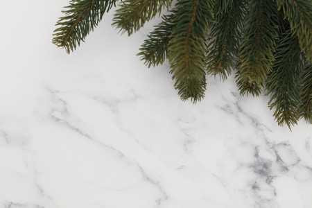 Christmas fir tree branches on a marble backgroundの写真素材