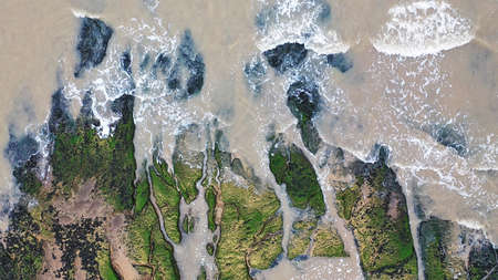 Aerial overhead view of calm breaking ocean waves against green seaweed covered rocksの写真素材