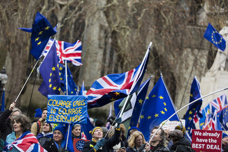 LONDON, UK - JANUARY 15th 2019: Anti Brexit campaigners rally outside the Houses of Parliment in Westminster over the brexit deal voteのeditorial素材