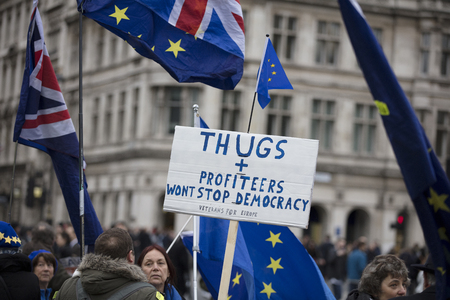 LONDON, UK - JANUARY 15th 2019: Anti Brexit campaigners rally outside the Houses of Parliment in Westminster over the brexit deal voteのeditorial素材