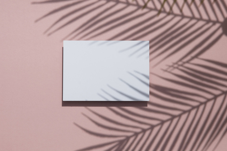 Tropical palm leaf shadow on a white card frame. Exotic summer background.の写真素材