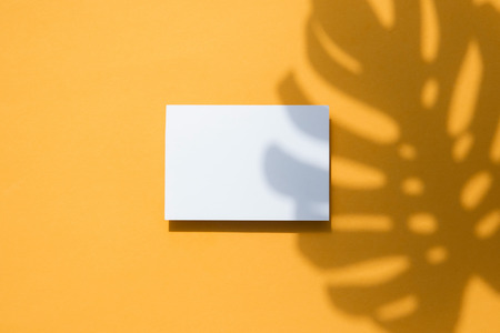 Tropical monstera palm leaf shadow on a white card frame. Orange summer poster.の写真素材