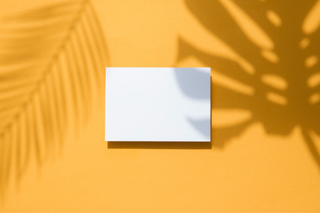Tropical monstera palm leaf shadow on a white card frame. Orange summer poster.の写真素材