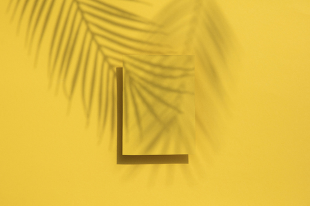 Tropical palm leaf shadow on a yellow blank label. Exotic summer background.の写真素材