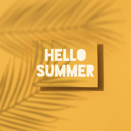 Hello summer tropical palm leaf shadow label. Exotic summer background.の写真素材