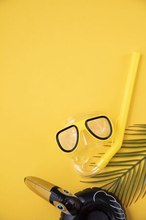 Tropical holiday composition with inflatable pelican, scuba snorkel and maskの写真素材